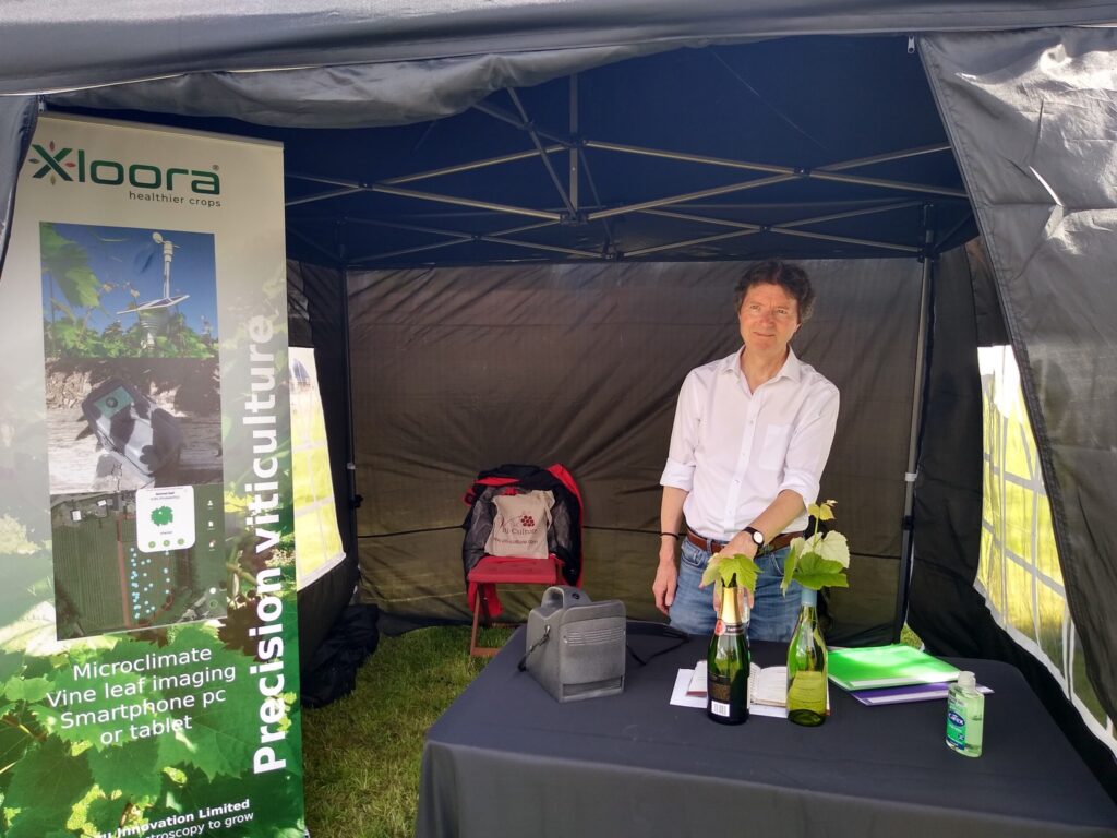 Xloora at Corbeau Innovation gazebo