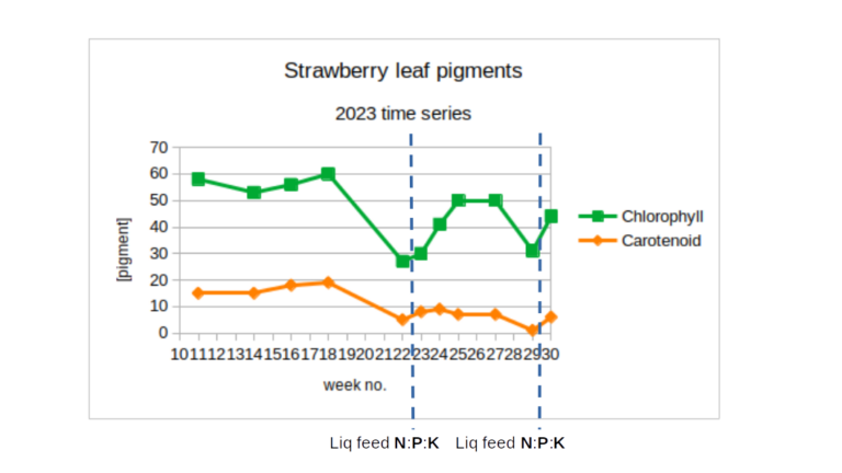 Fertiliser strawberry leaf response