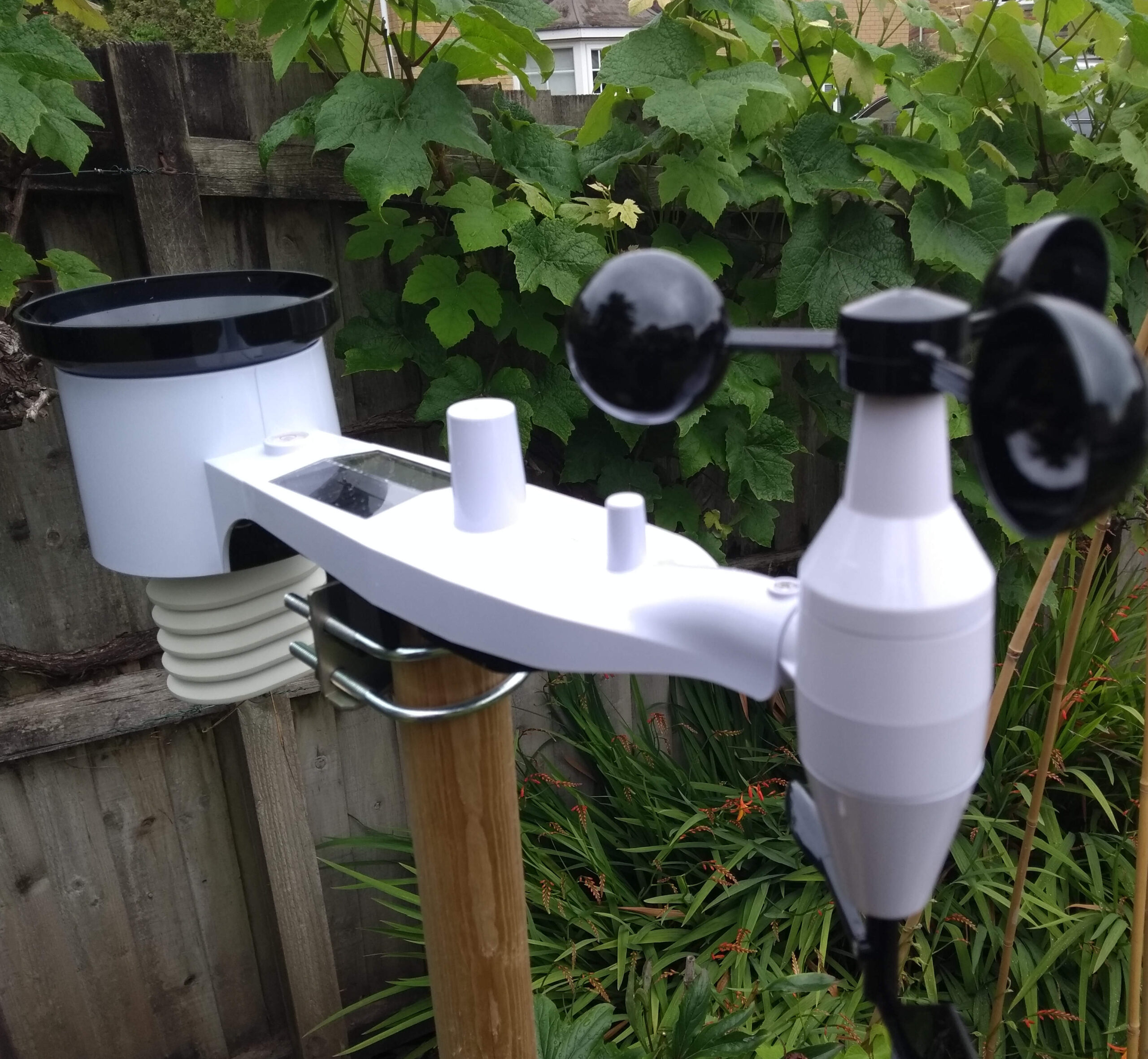 Ecowitt weather station in backyard vineyard